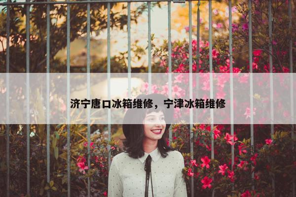 济宁唐口冰箱维修，宁津冰箱维修