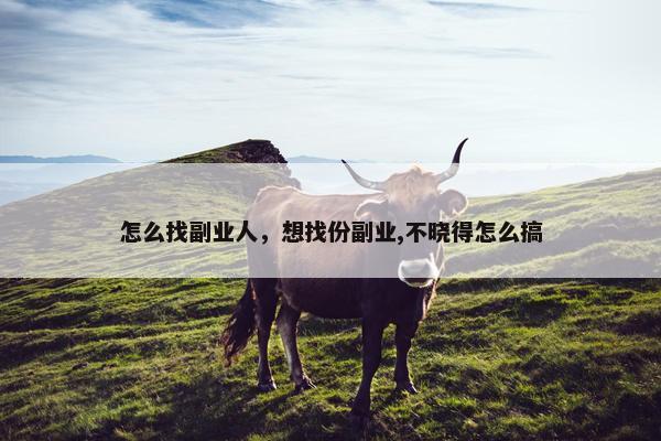 怎么找副业人，想找份副业,不晓得怎么搞
