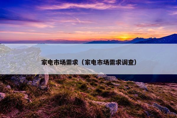 家电市场需求（家电市场需求调查）