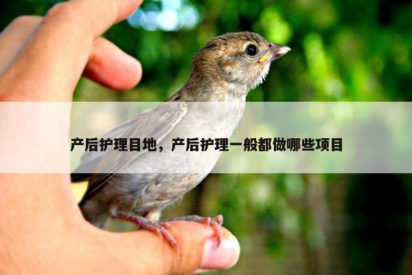 产后护理目地，产后护理一般都做哪些项目