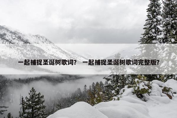 一起捕捉圣诞树歌词？ 一起捕捉圣诞树歌词完整版？