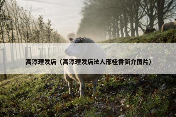 高淳理发店（高淳理发店法人邢桂香简介图片）