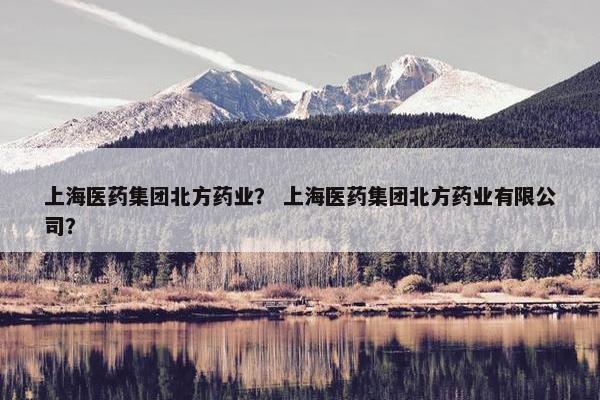 上海医药集团北方药业？ 上海医药集团北方药业有限公司？