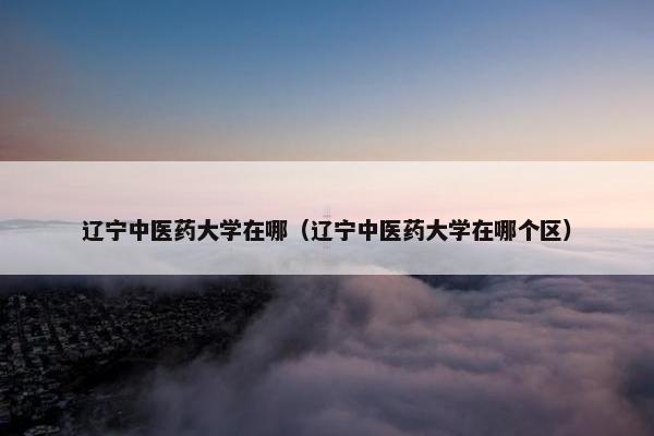 辽宁中医药大学在哪（辽宁中医药大学在哪个区）