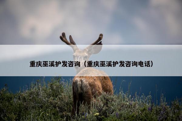 重庆巫溪护发咨询（重庆巫溪护发咨询电话）
