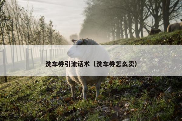 洗车券引流话术（洗车券怎么卖）