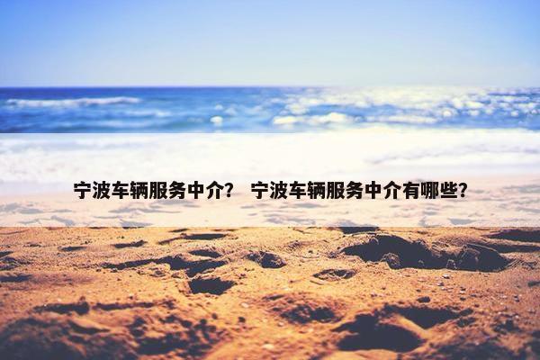 宁波车辆服务中介？ 宁波车辆服务中介有哪些？