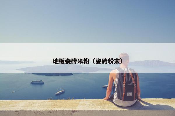 地板瓷砖米粉（瓷砖粉末）