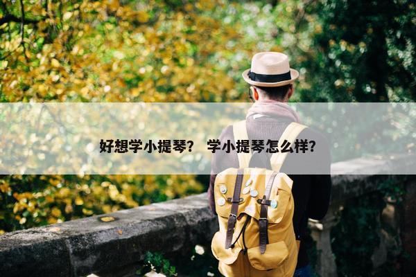 好想学小提琴？ 学小提琴怎么样？