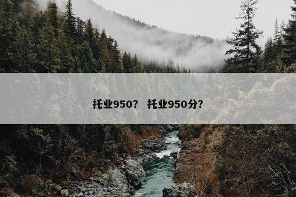 托业950？ 托业950分？