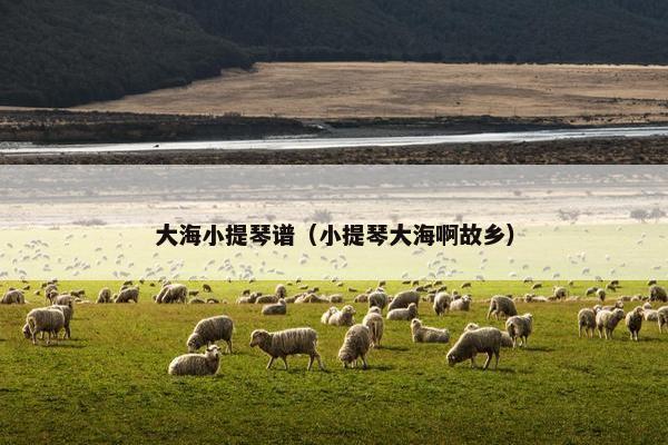 大海小提琴谱（小提琴大海啊故乡）