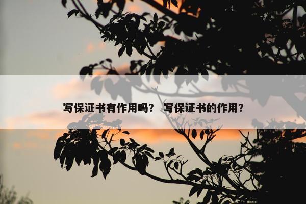 写保证书有作用吗？ 写保证书的作用？
