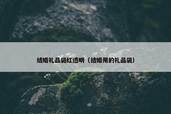 结婚礼品袋红透明（结婚用的礼品袋）