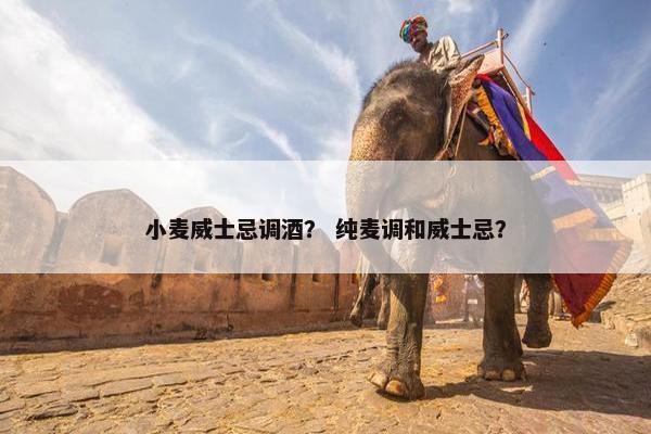 小麦威士忌调酒？ 纯麦调和威士忌？