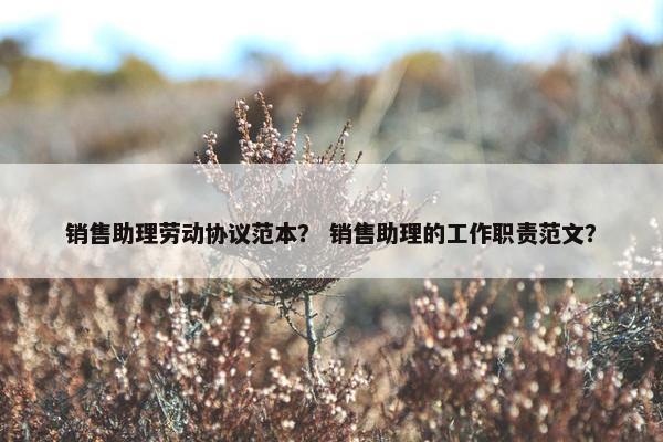 销售助理劳动协议范本？ 销售助理的工作职责范文？