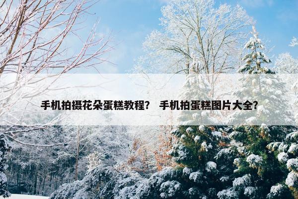 手机拍摄花朵蛋糕教程？ 手机拍蛋糕图片大全？