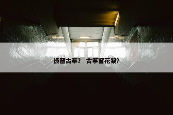 橱窗古筝？ 古筝窗花架？