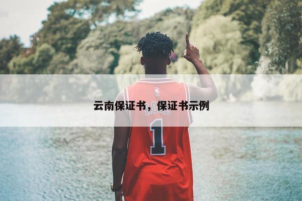 云南保证书，保证书示例