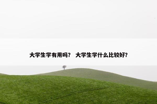大学生学有用吗？ 大学生学什么比较好？