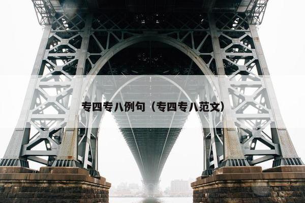 专四专八例句（专四专八范文）