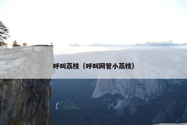 呼叫荔枝（呼叫网管小荔枝）