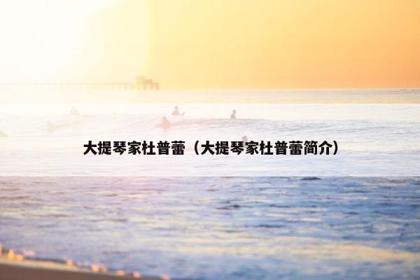 大提琴家杜普蕾（大提琴家杜普蕾简介）