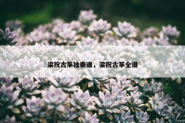 梁祝古筝独奏谱，梁祝古筝全谱
