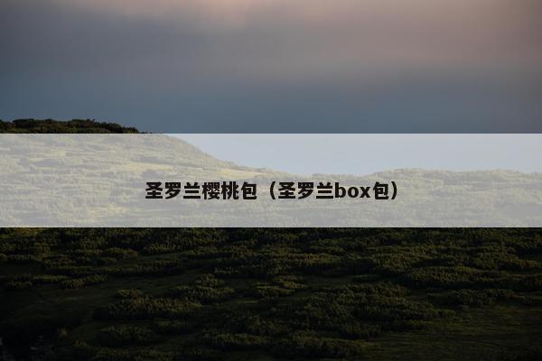 圣罗兰樱桃包（圣罗兰box包）