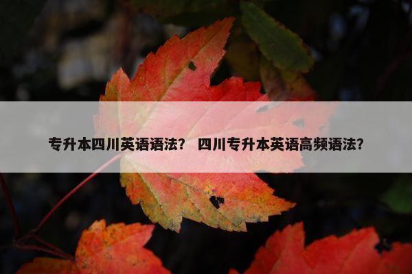 专升本四川英语语法？ 四川专升本英语高频语法？