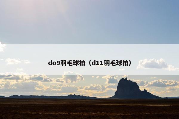 do9羽毛球拍（d11羽毛球拍）