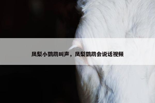 凤梨小鹦鹉叫声，凤梨鹦鹉会说话视频