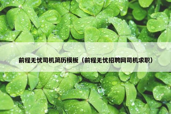 前程无忧司机简历模板（前程无忧招聘网司机求职）
