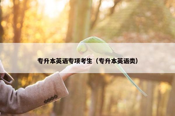 专升本英语专项考生（专升本英语类）