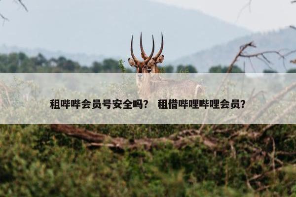 租哔哔会员号安全吗？ 租借哔哩哔哩会员？