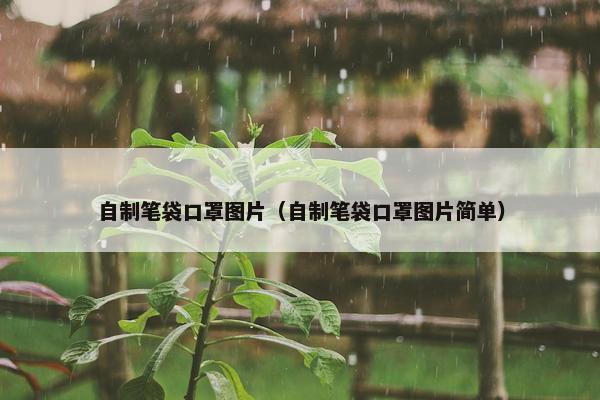 自制笔袋口罩图片（自制笔袋口罩图片简单）