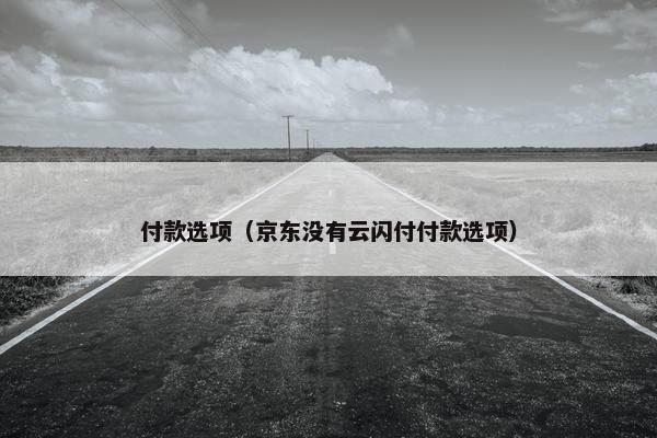 付款选项（京东没有云闪付付款选项）