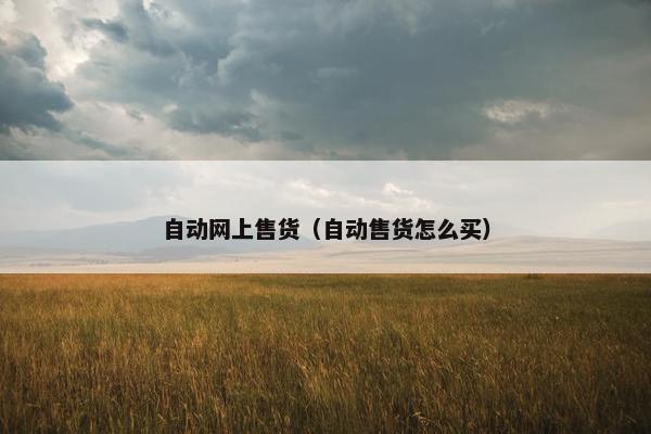 自动网上售货（自动售货怎么买）
