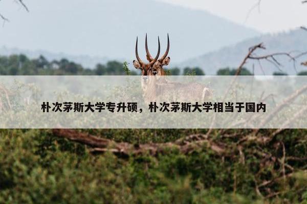 朴次茅斯大学专升硕，朴次茅斯大学相当于国内