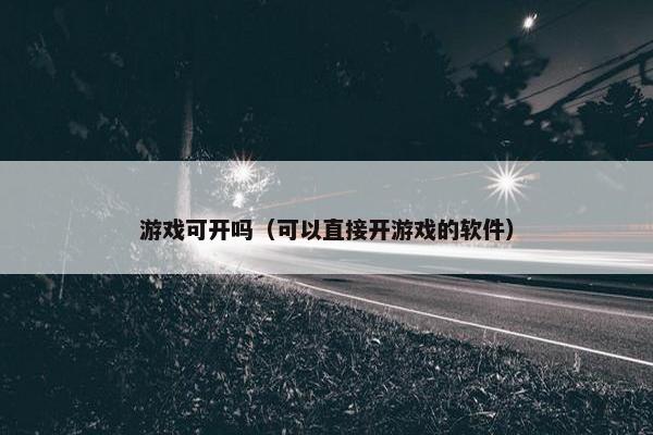 游戏可开吗（可以直接开游戏的软件）