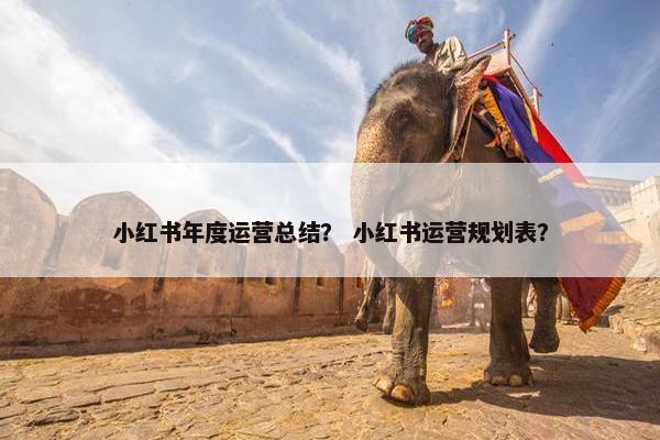 小红书年度运营总结？ 小红书运营规划表？