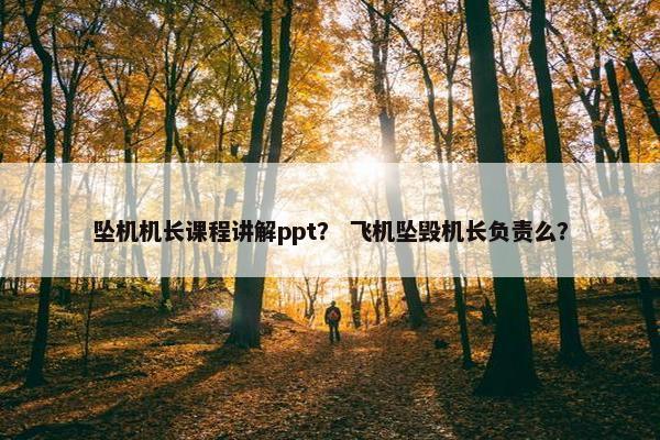 坠机机长课程讲解ppt？ 飞机坠毁机长负责么？