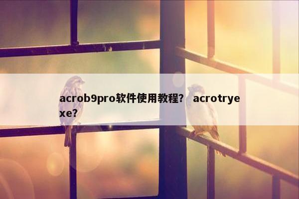 acrob9pro软件使用教程？ acrotryexe？