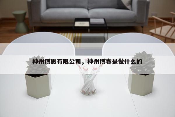 神州博思有限公司，神州博睿是做什么的