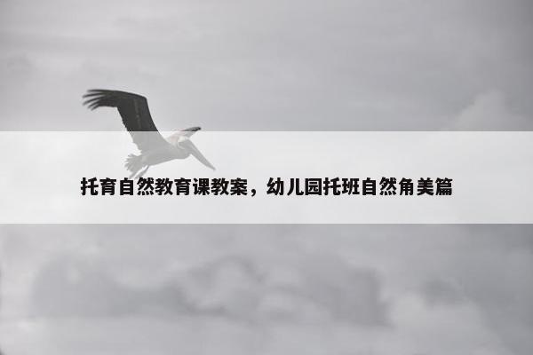 托育自然教育课教案，幼儿园托班自然角美篇