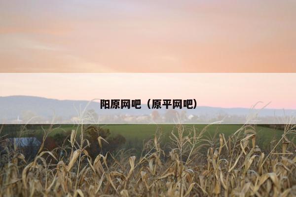 阳原网吧（原平网吧）