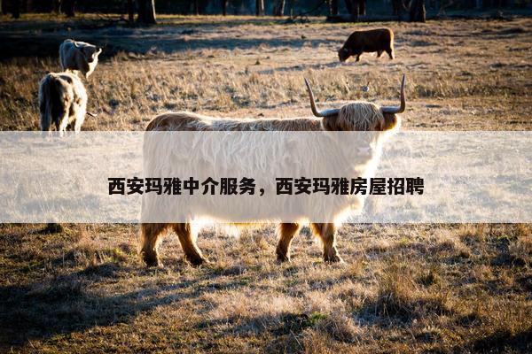 西安玛雅中介服务，西安玛雅房屋招聘