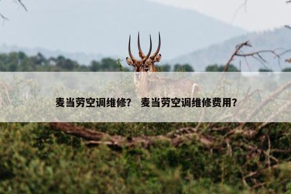 麦当劳空调维修？ 麦当劳空调维修费用？