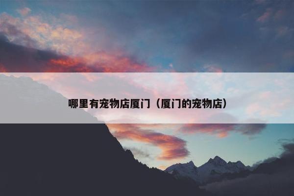 哪里有宠物店厦门（厦门的宠物店）