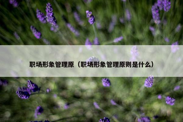 职场形象管理原（职场形象管理原则是什么）