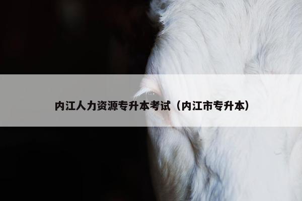 内江人力资源专升本考试（内江市专升本）